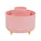 Mind Reader Rotating Pen Cup, 5-Compartment Accessory Holder for Desk Supplies, Pink